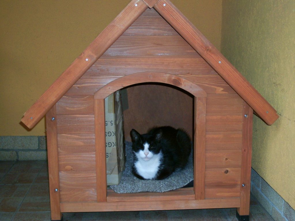Lujza elfoglalta Gombóc házát